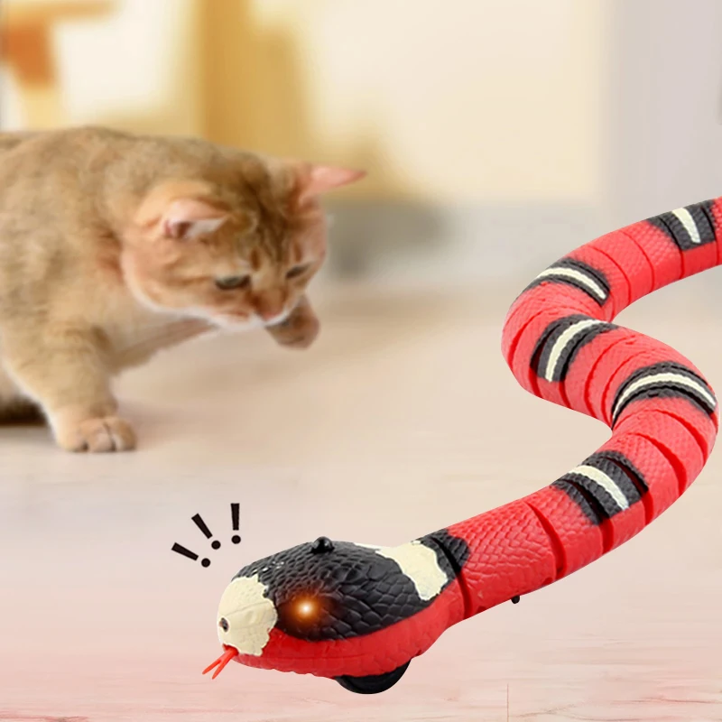 Умная игрушка-змея для кошек, электрические интерактивные игрушки для кошек, USB зарядка, аксессуары для кошек, игрушки для собак
Умная игрушка-змея для кошек, электрические интерактивные игрушки для кошек, USB зарядка, аксессуары для кошек, игрушки для собак