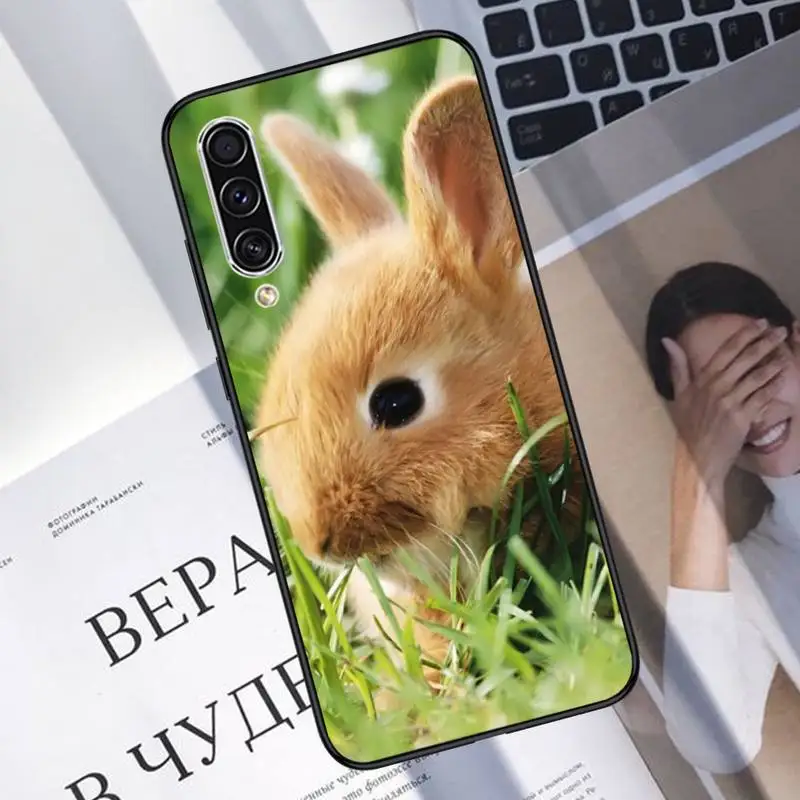 rabbit Phone Case For Samsung Galaxy J2 J4 J5 J6 J7 J8 2016 2017 2018 Prime Pro plus Neo duo
rabbit Phone Case For Samsung Galaxy J2 J4 J5 J6 J7 J8 2016 2017 2018 Prime Pro plus Neo duo
