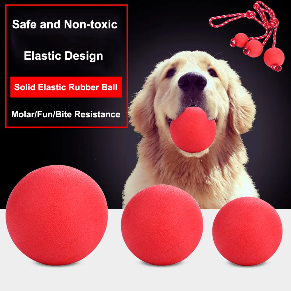 Solid Rubber Dog Ball Toy Durable Dog Chew Toy Indestructible For Outdoor Agility Training High Bounce Tough Dog Toy S/M/L/XL
Solid Rubber Dog Ball Toy Durable Dog Chew Toy Indestructible For Outdoor Agility Training High Bounce Tough Dog Toy S/M/L/XL
