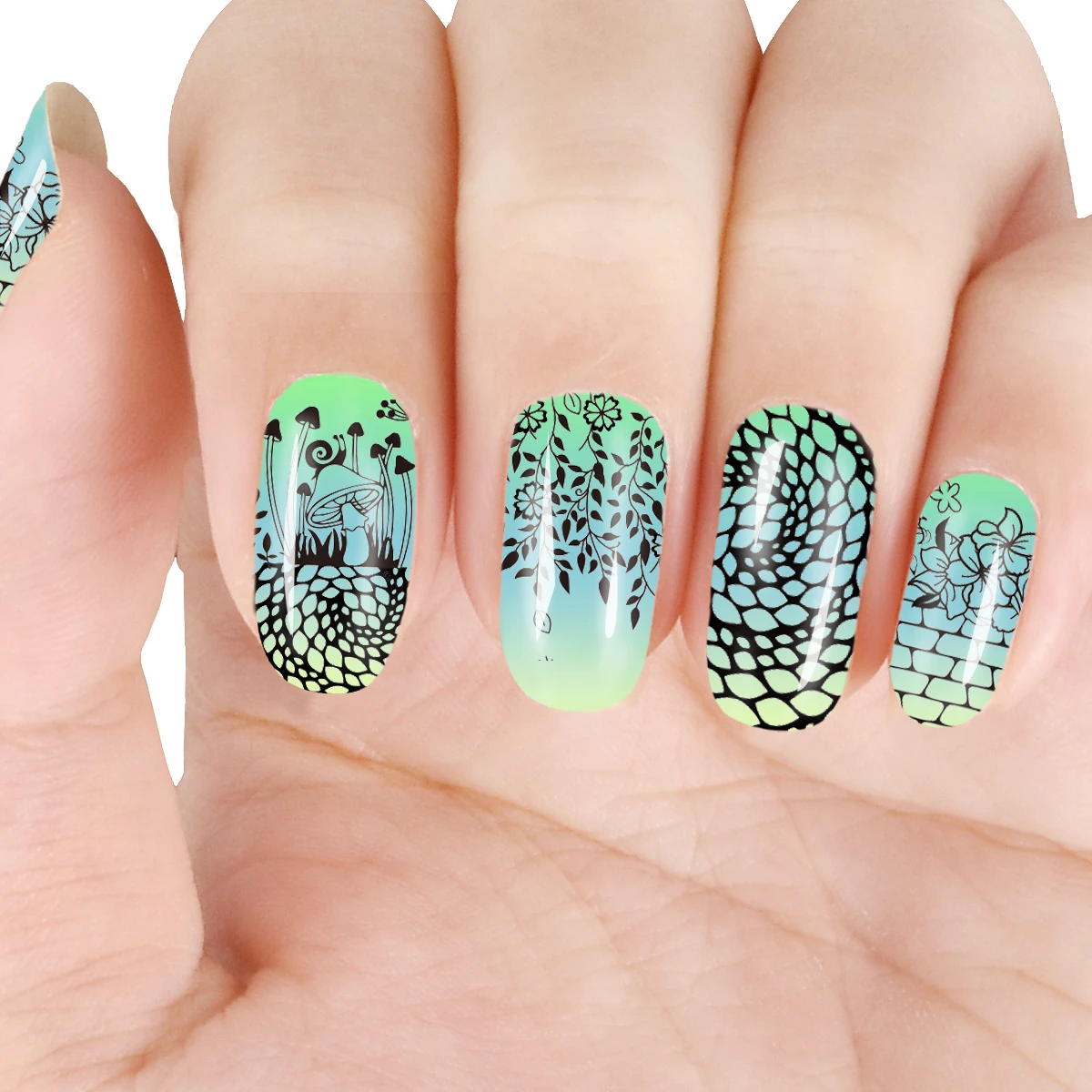 BEAUTYBIGBANG Birds Flower Animal Pattern Nail Art Stamp Stamping Template Nail Stamping Plates Image Plate Stencil Nails Tool
BEAUTYBIGBANG Birds Flower Animal Pattern Nail Art Stamp Stamping Template Nail Stamping Plates Image Plate Stencil Nails Tool