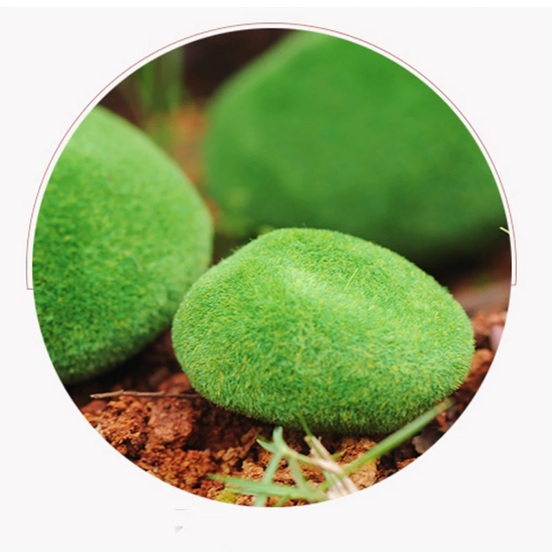 Artificial Green Moss Ball Fake Stone Moss Stone Foam Plants Model Diy Decoration For Floral Arrangements Gardens Lawn
Artificial Green Moss Ball Fake Stone Moss Stone Foam Plants Model Diy Decoration For Floral Arrangements Gardens Lawn