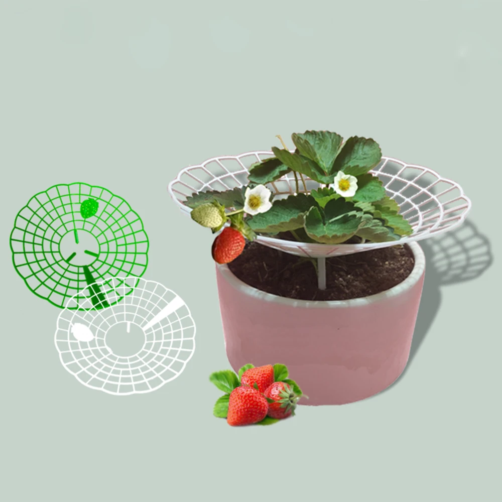 Strawberry Stand Plant Protection Plastic Movable 6pcs Green 30cm Gardening Tool Support Frame
Strawberry Stand Plant Protection Plastic Movable 6pcs Green 30cm Gardening Tool Support Frame