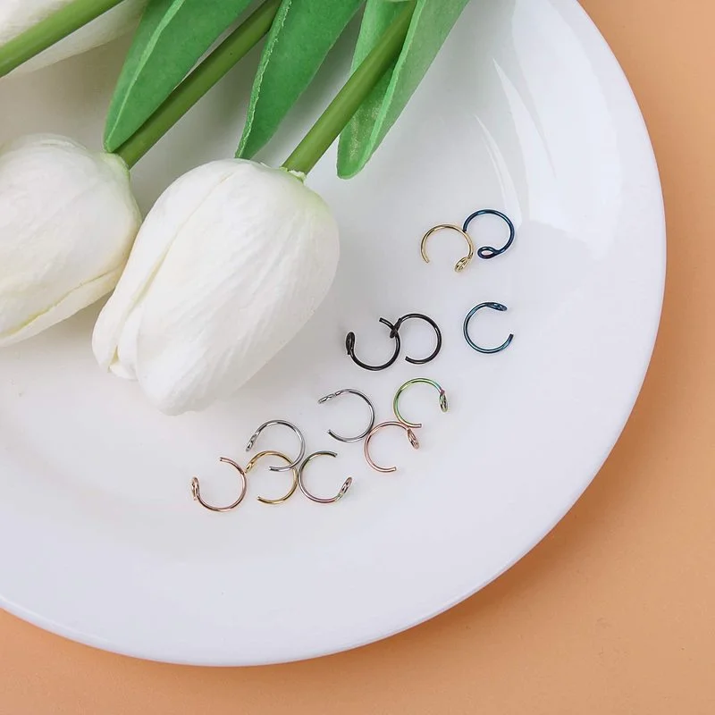 6/12Pc Stainless Steel Fake Nose Ring Hoop Septum Rings C Clip Lip Ring Earring for Women Fake Piercing Body Jewelry Non-Pierced
6/12Pc Stainless Steel Fake Nose Ring Hoop Septum Rings C Clip Lip Ring Earring for Women Fake Piercing Body Jewelry Non-Pierced