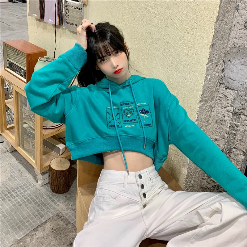 Autumn Korean style wild embroidery high waist slim long sleeve hooded pullover hoodie
Autumn Korean style wild embroidery high waist slim long sleeve hooded pullover hoodie