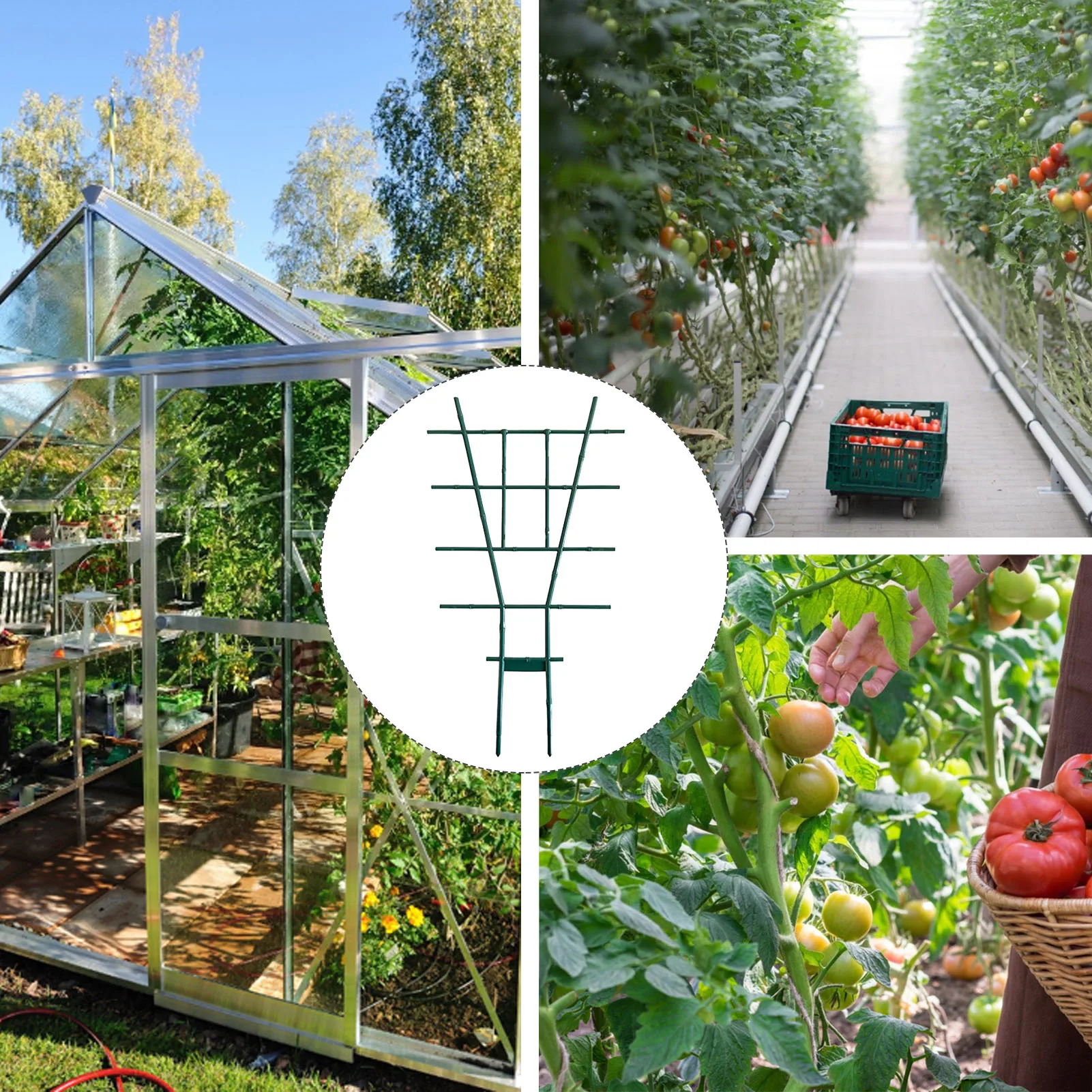 2PCS Plastic Plant Trellis Climbing Plant Stackable Plant Support Plastic Plant Trellis Climbing Plant Stackable Plant Support
2PCS Plastic Plant Trellis Climbing Plant Stackable Plant Support Plastic Plant Trellis Climbing Plant Stackable Plant Support