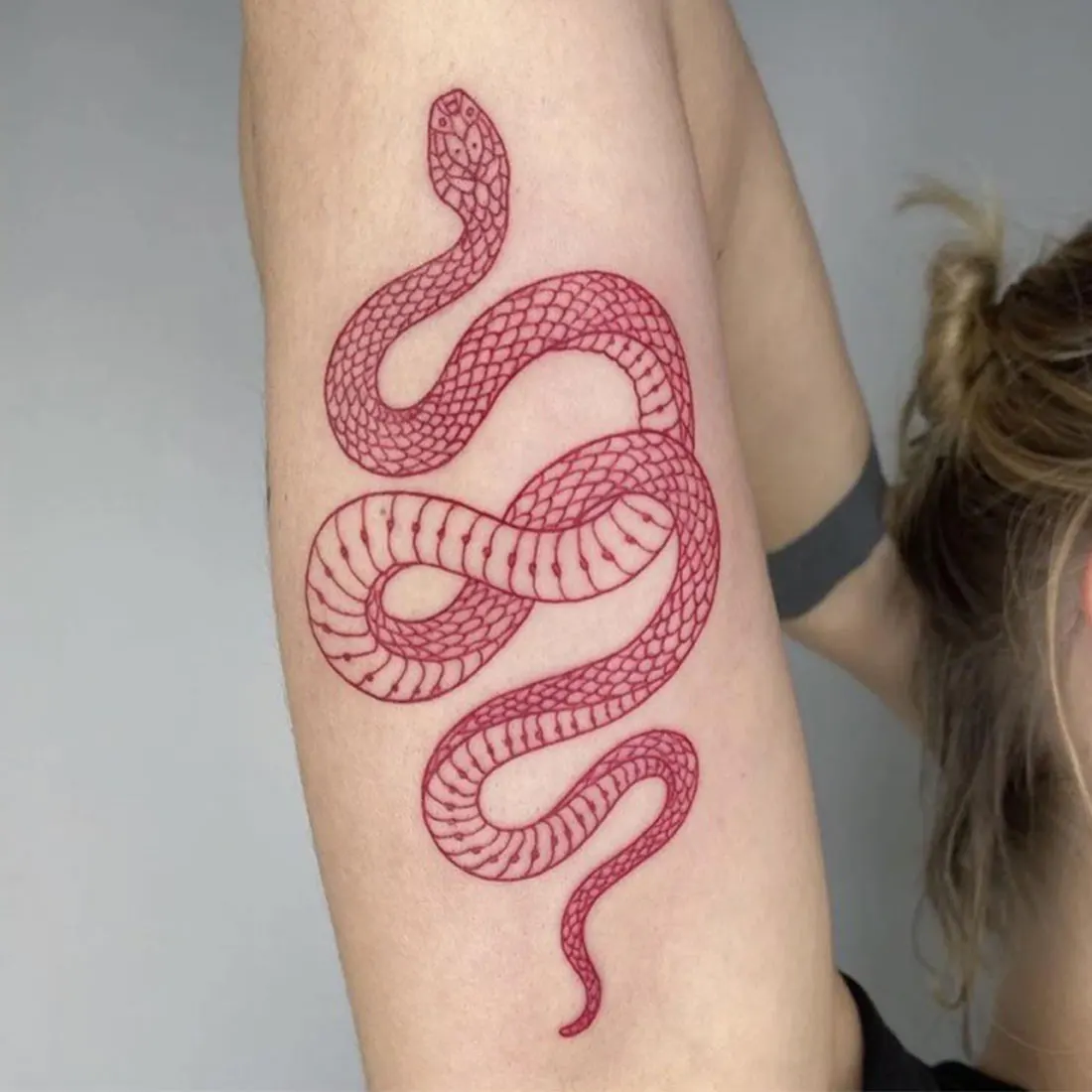 Big Size Red Snake Temporary Tattoo Sticker Waterproof For Women Men Body Art Waist Decals Fake Tatto
Big Size Red Snake Temporary Tattoo Sticker Waterproof For Women Men Body Art Waist Decals Fake Tatto