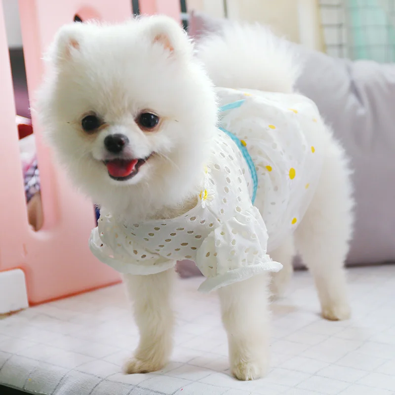 Summer Daisy Flower Gauze Dog Dress Puff Sleeve Hollow Out Skirt Pet Puppy Clothes Bowknot Princess Dresses for Dogs and Cats
Summer Daisy Flower Gauze Dog Dress Puff Sleeve Hollow Out Skirt Pet Puppy Clothes Bowknot Princess Dresses for Dogs and Cats