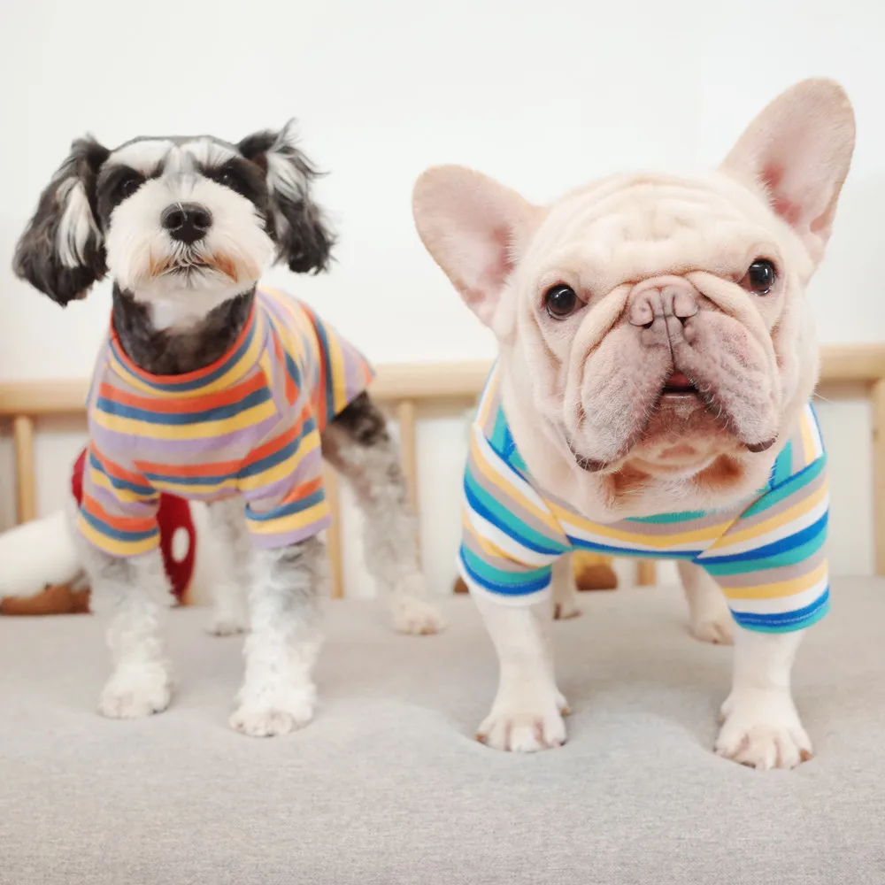New Pet Clothes Dog Autumn and Winter Clothes French Bulldog Knitted Striped Bottoming Shirt Puppy Schnauzer Warm Clothes
New Pet Clothes Dog Autumn and Winter Clothes French Bulldog Knitted Striped Bottoming Shirt Puppy Schnauzer Warm Clothes