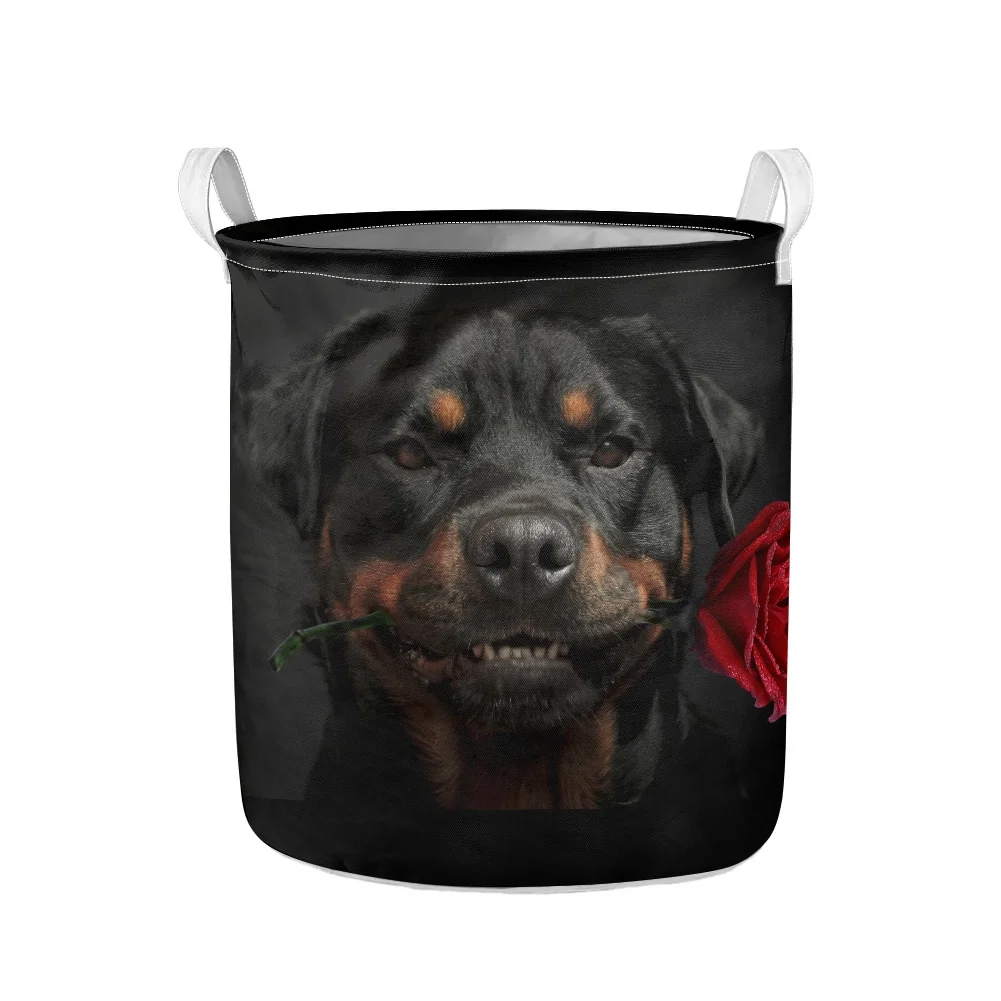Clothes Storage Container Bin Rottweiler Print Foldable Laundry Basket Dirty Laundry Sorting Bucket DIY Household Organizer Bag
Clothes Storage Container Bin Rottweiler Print Foldable Laundry Basket Dirty Laundry Sorting Bucket DIY Household Organizer Bag