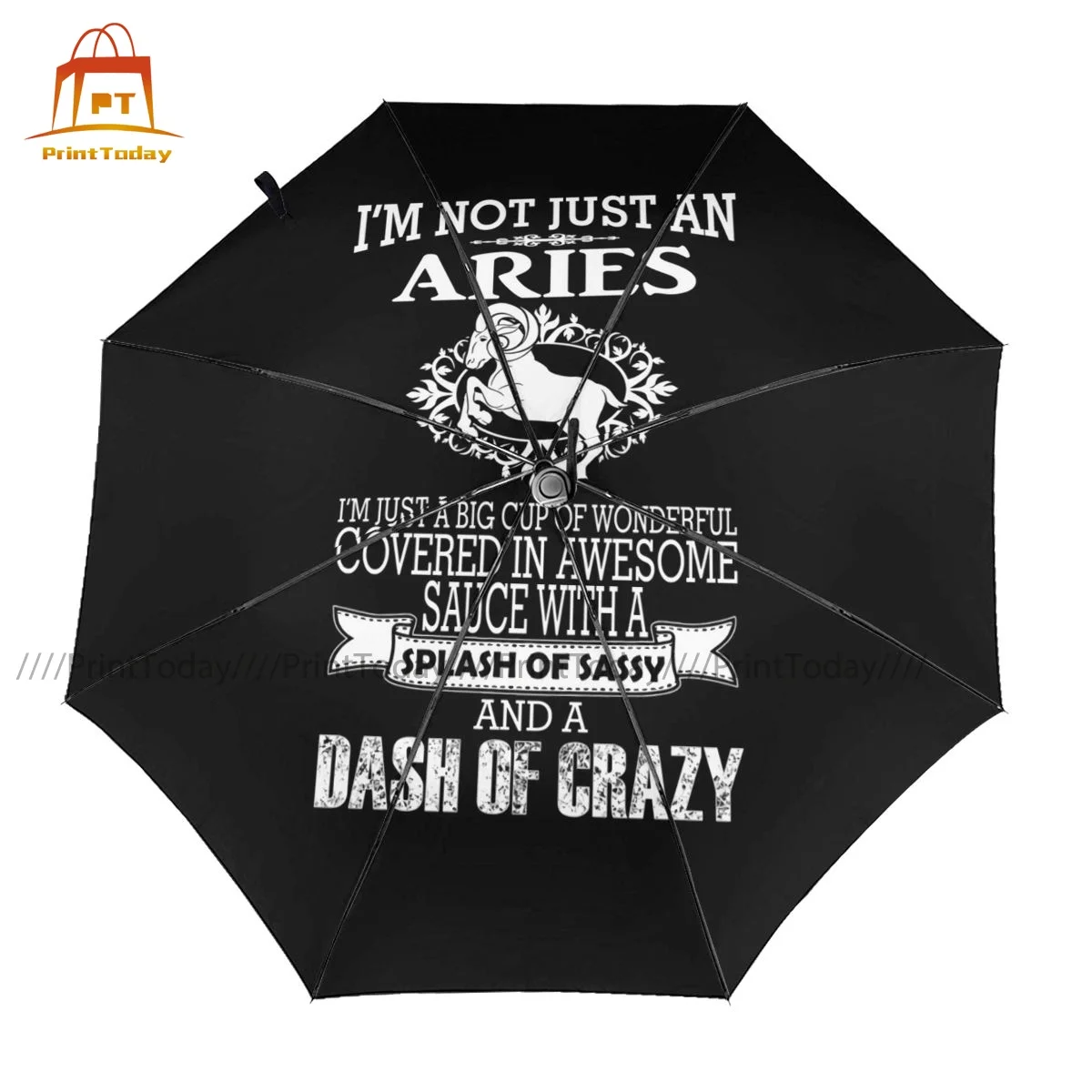 Aries Umbrella Auto Waterproof Umbrella Unique Design Trekking Reinforced Umbrella
Aries Umbrella Auto Waterproof Umbrella Unique Design Trekking Reinforced Umbrella