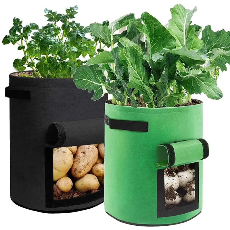 4/7/10 Gallon Potato Pot Plant Grow Bags Planting Bag Home Garden Fruit Fabric Plants Growing Moisturizing Garden Tool
4/7/10 Gallon Potato Pot Plant Grow Bags Planting Bag Home Garden Fruit Fabric Plants Growing Moisturizing Garden Tool