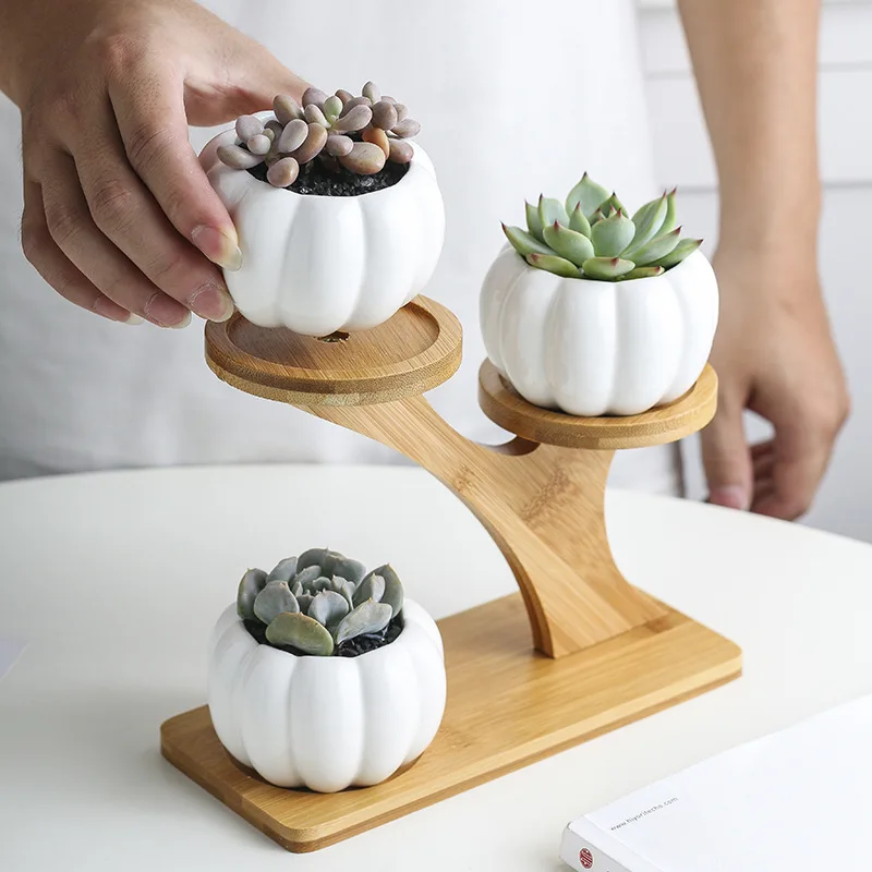 

1 Set Ceramic Pumpkin Garden Pots Modern Owl Flowerpot Nursery Succulent Plant Pot 3 Bonsai Planters With 3-Tier Bamboo Shelf