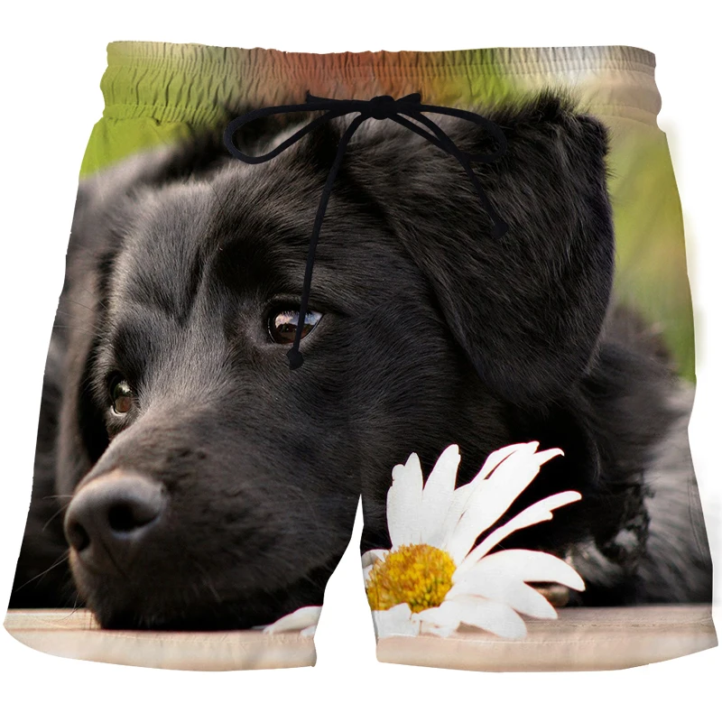 Black White Dog Print Pants Funny quick-dry swimsuit mens 3D sports Beach Shorts Cute Graphic shorts Summer Panama Cycling Short
Black White Dog Print Pants Funny quick-dry swimsuit mens 3D sports Beach Shorts Cute Graphic shorts Summer Panama Cycling Short