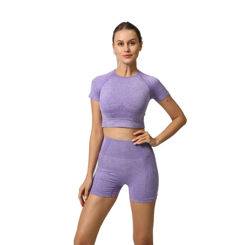 SALSPOR Fitness Sets Women High Waist Shorts Skinny Sets Female O-Neck Short Sleeve Seamless Shorts Sets Feminine Summer
SALSPOR Fitness Sets Women High Waist Shorts Skinny Sets Female O-Neck Short Sleeve Seamless Shorts Sets Feminine Summer