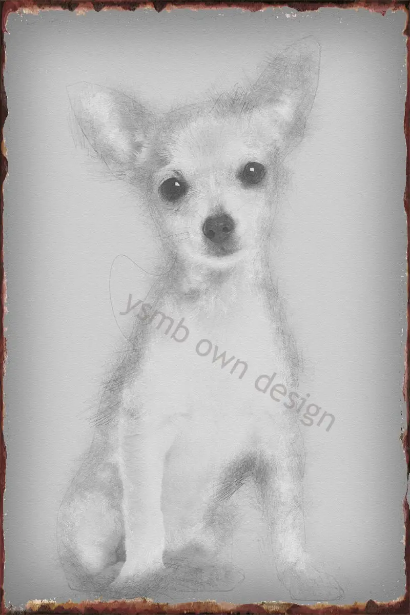 Жестяная ретро-табличка для щенка чихуахуа 3 месяца о, винтажная металлическая вывеска, Оловянная табличка, настенный Декор для дома, клуба, ...
Жестяная ретро-табличка для щенка чихуахуа 3 месяца о, винтажная металлическая вывеска, Оловянная табличка, настенный Декор для дома, клуба, ...