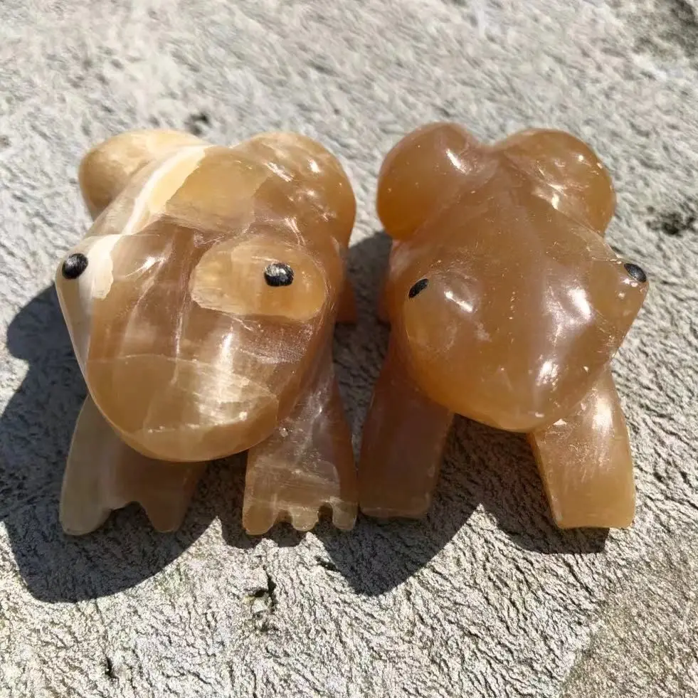 Frog Statue Natural Gemstone Room Decoration Healing Crystal Animals Figurines Reiki Carved Stones Wholesale
Frog Statue Natural Gemstone Room Decoration Healing Crystal Animals Figurines Reiki Carved Stones Wholesale