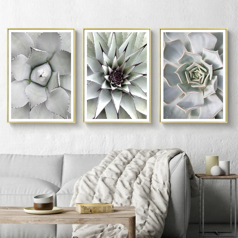 Tropical Plant Green Leaf Poster Print Succulent Wall Art Canvas Painting Nordic Picture for Living Room Modern Home Decor
Tropical Plant Green Leaf Poster Print Succulent Wall Art Canvas Painting Nordic Picture for Living Room Modern Home Decor