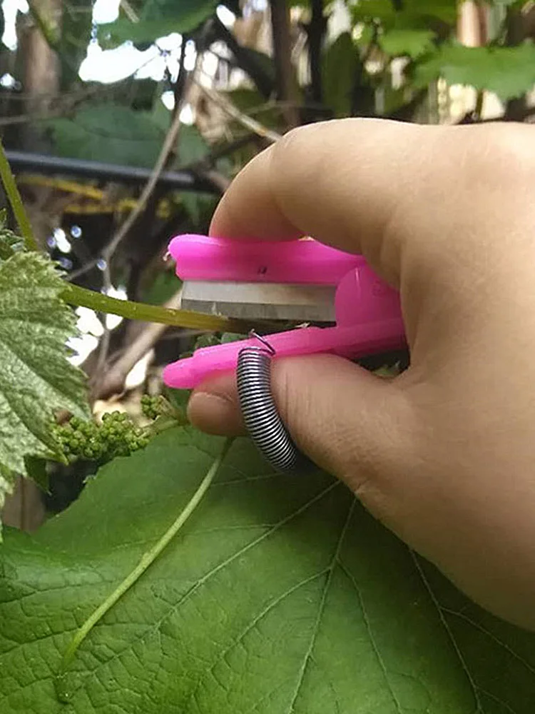 Rattan Picking Knife Vegetable Picker Melon and Fruit Ring for Picking Picking Tools Grape Sharpening Device Leaf Removing Knife
Rattan Picking Knife Vegetable Picker Melon and Fruit Ring for Picking Picking Tools Grape Sharpening Device Leaf Removing Knife