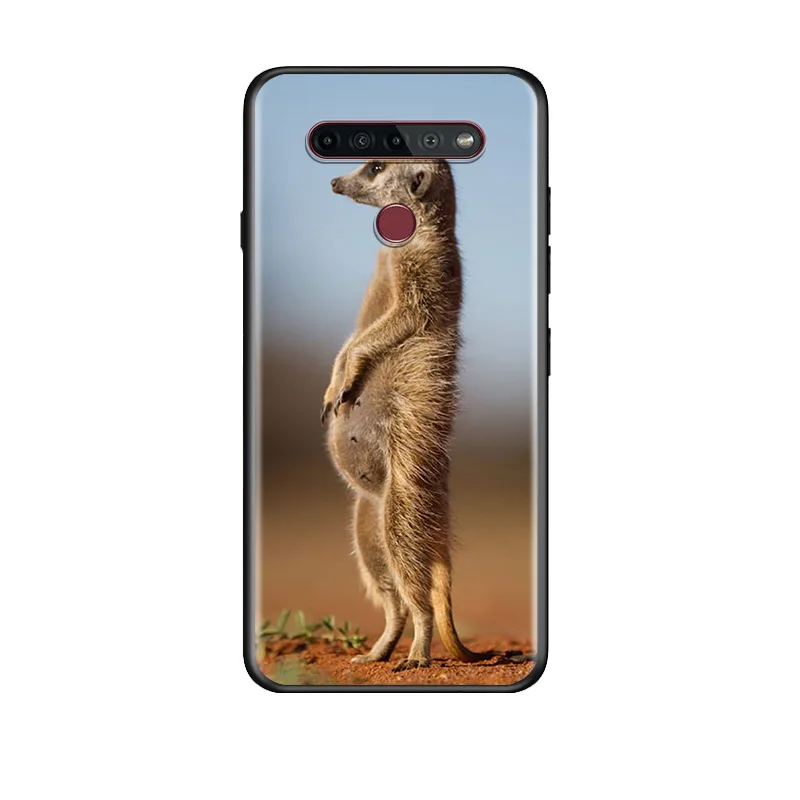 Cute baby meerkat TPU Silicone Black Cover For LG G8 V30 V35 V40 V50 V60 Q60 K40S K50S K41S K51S K61 K71 K22 ThinQ 5G Phone Case
Cute baby meerkat TPU Silicone Black Cover For LG G8 V30 V35 V40 V50 V60 Q60 K40S K50S K41S K51S K61 K71 K22 ThinQ 5G Phone Case