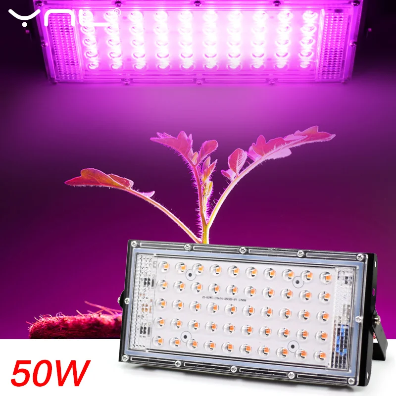 LED Grow Light Phyto Lamp AC 220V 50W LED Full Spectrum Floodlight Indoor Outdoor Greenhouse Plant Hydroponic Plant Spotlight 
LED Grow Light Phyto Lamp AC 220V 50W LED Full Spectrum Floodlight Indoor Outdoor Greenhouse Plant Hydroponic Plant Spotlight