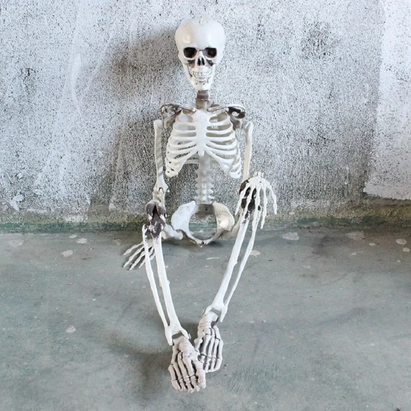 Halloween skeleton decoration mummified corpse room set props haunted house decorated scary Halloween skeletons
Halloween skeleton decoration mummified corpse room set props haunted house decorated scary Halloween skeletons