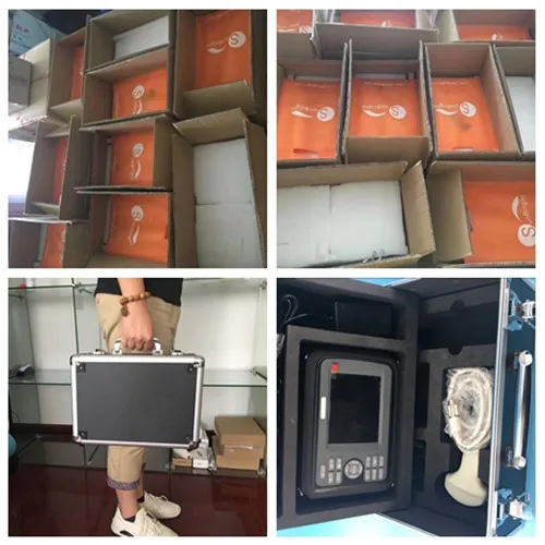 Cheap Portable machine ultrasound veterinary for cows with rectal probes
Cheap Portable machine ultrasound veterinary for cows with rectal probes