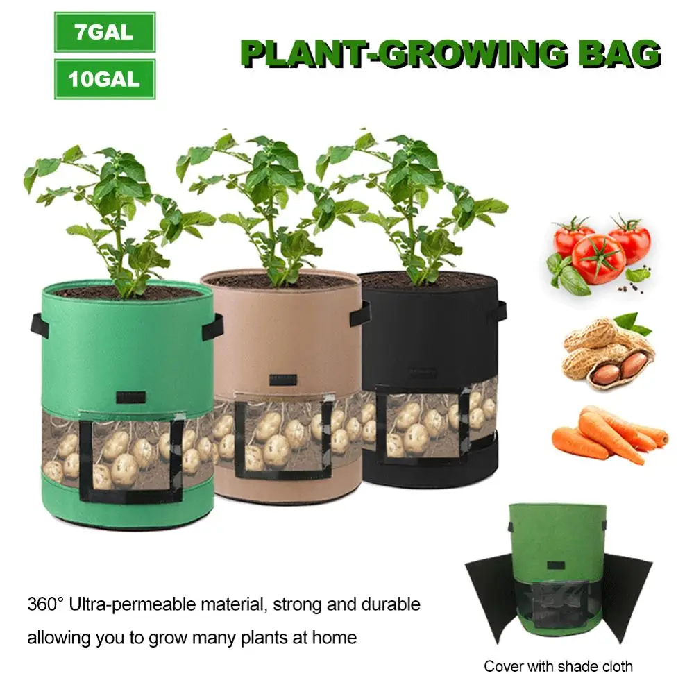 Plant Planting Bag Potato and Tomato Covered Middle Transparent Potato Planting Bag
Plant Planting Bag Potato and Tomato Covered Middle Transparent Potato Planting Bag