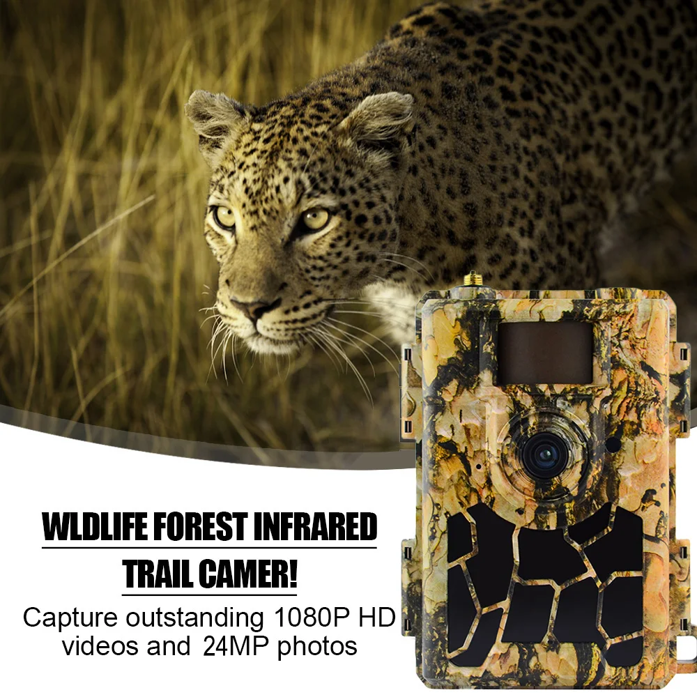 4.8CG Trail Hunting Camera 24MP Night Vision Infrared APP Control Waterproof Scouting Cam For Outdoor Wildlife Monitoring
4.8CG Trail Hunting Camera 24MP Night Vision Infrared APP Control Waterproof Scouting Cam For Outdoor Wildlife Monitoring
