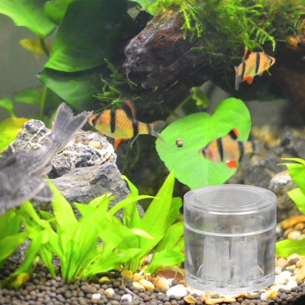8 Hole Aquarium Pest Catch Planaria Snail Trap Fish Plant Tank Aquarium Cleaning Tools Transparent
8 Hole Aquarium Pest Catch Planaria Snail Trap Fish Plant Tank Aquarium Cleaning Tools Transparent