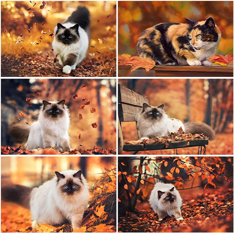 Full Drill Square Round DIY Diamond Painting Cat 5D Diamond Mosaic Art Diamond Embroidery Animal Rhinestone Picture Wall Art
Full Drill Square Round DIY Diamond Painting Cat 5D Diamond Mosaic Art Diamond Embroidery Animal Rhinestone Picture Wall Art