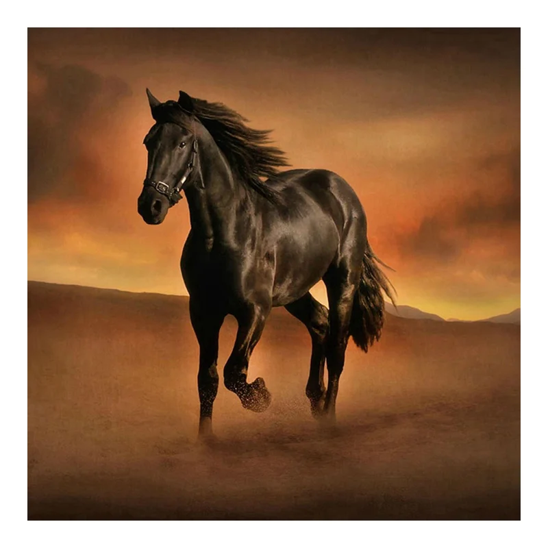 New 5D DIY Diamond Painting Cross Stitch A Black Horse Running Crystal Needlework Diamond Embroidery Full Diamond Decoration
New 5D DIY Diamond Painting Cross Stitch A Black Horse Running Crystal Needlework Diamond Embroidery Full Diamond Decoration