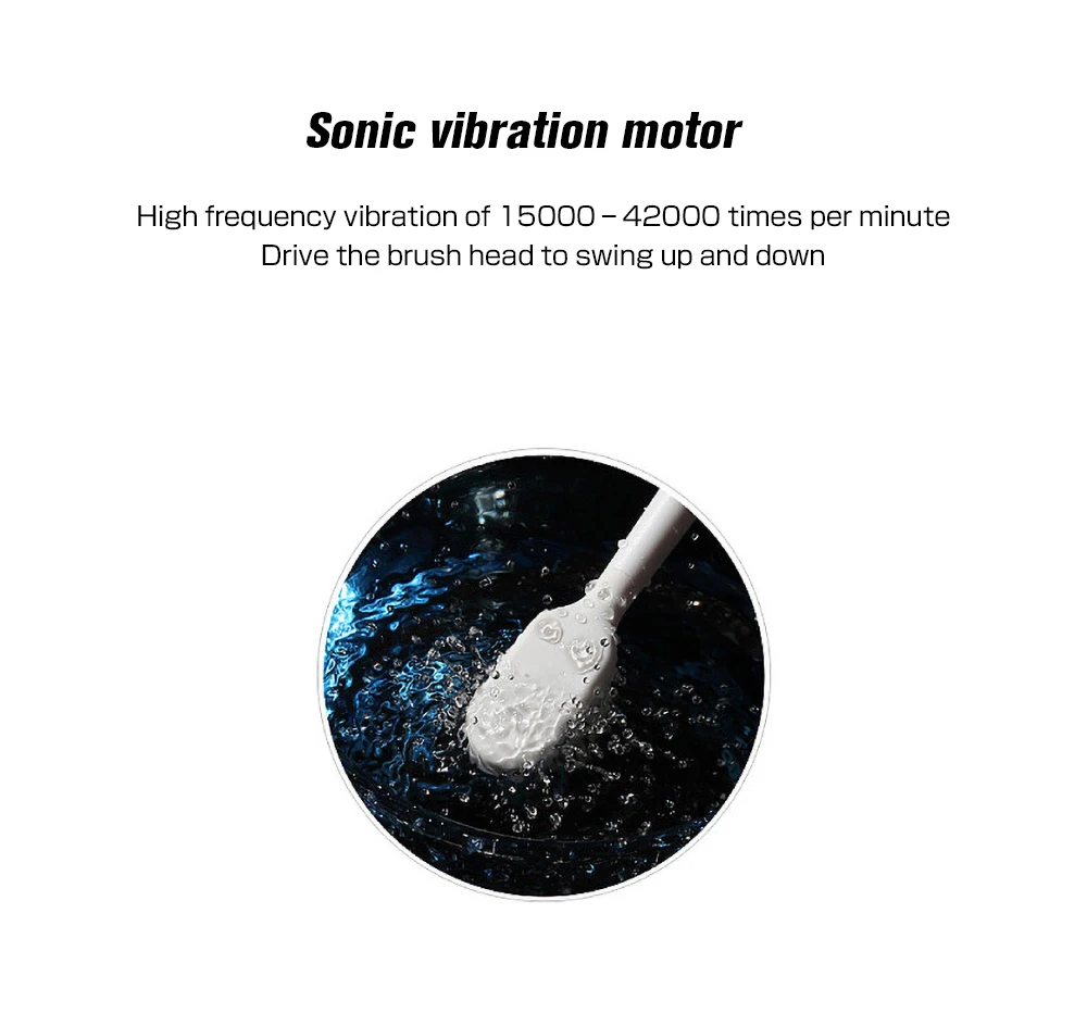 2021 new USB charging smart sonic six-speed adult waterproof soft hair vibrating toothbrush
2021 new USB charging smart sonic six-speed adult waterproof soft hair vibrating toothbrush