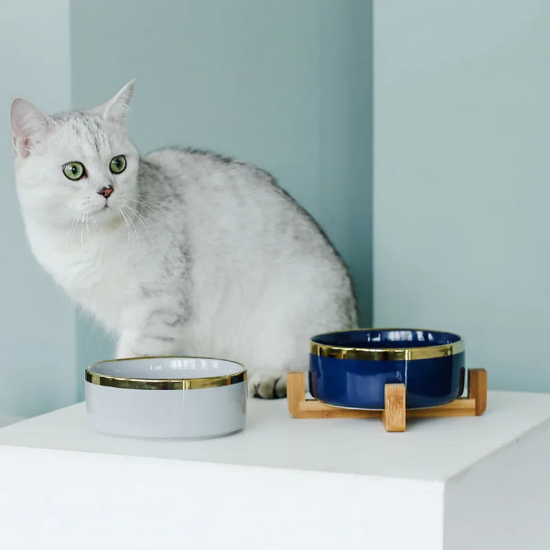 NEW Ceramic Dogs Food Bowl With Wooden Stand Raised Cat Pet Feeder Water Feeder Puppy Accessories Product Supplies
NEW Ceramic Dogs Food Bowl With Wooden Stand Raised Cat Pet Feeder Water Feeder Puppy Accessories Product Supplies