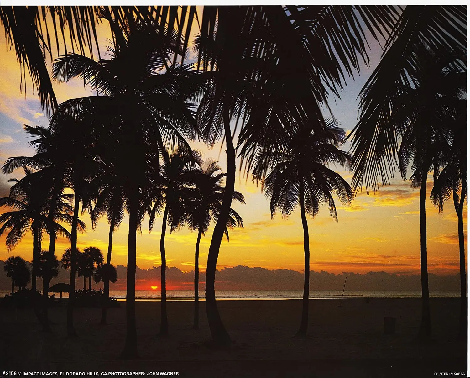 Palm Tree Wall Decor Poster Tropical Beach Sunset Nature Scenery Art Print Picture 
Palm Tree Wall Decor Poster Tropical Beach Sunset Nature Scenery Art Print Picture