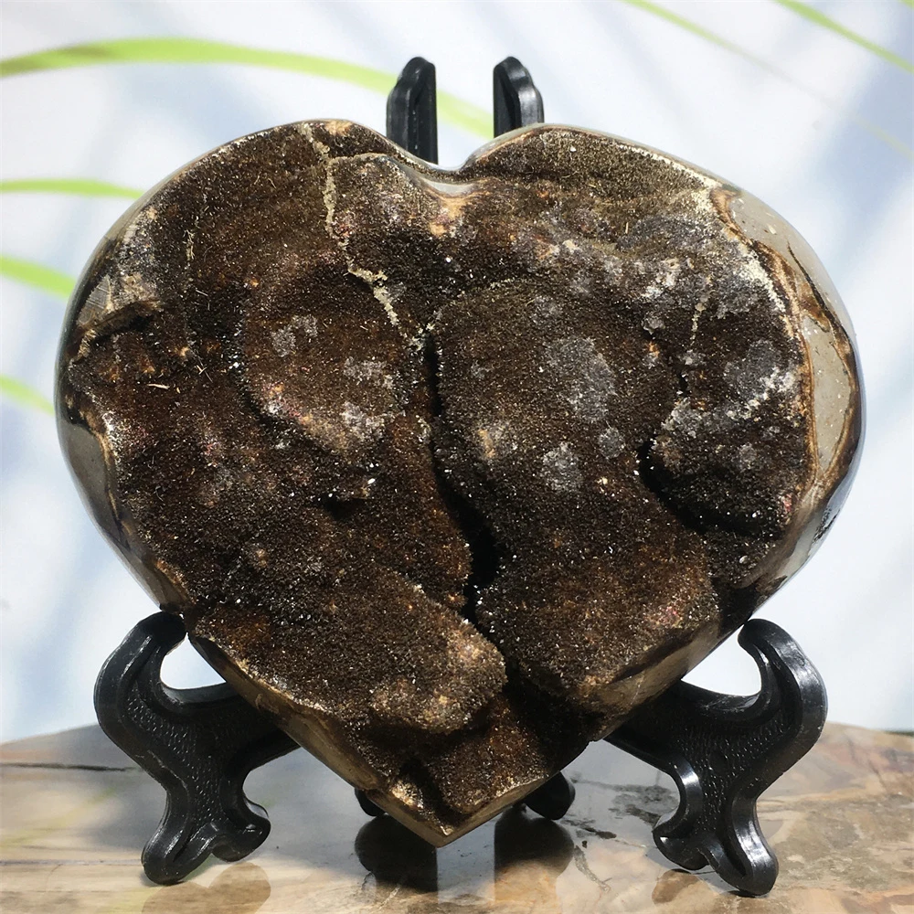 Natural Druzy Septarium Crystal Quartz Voog Heart Reiki Healing Septarian Boulder Geode Specimen Ornament For Decoration House
Natural Druzy Septarium Crystal Quartz Voog Heart Reiki Healing Septarian Boulder Geode Specimen Ornament For Decoration House