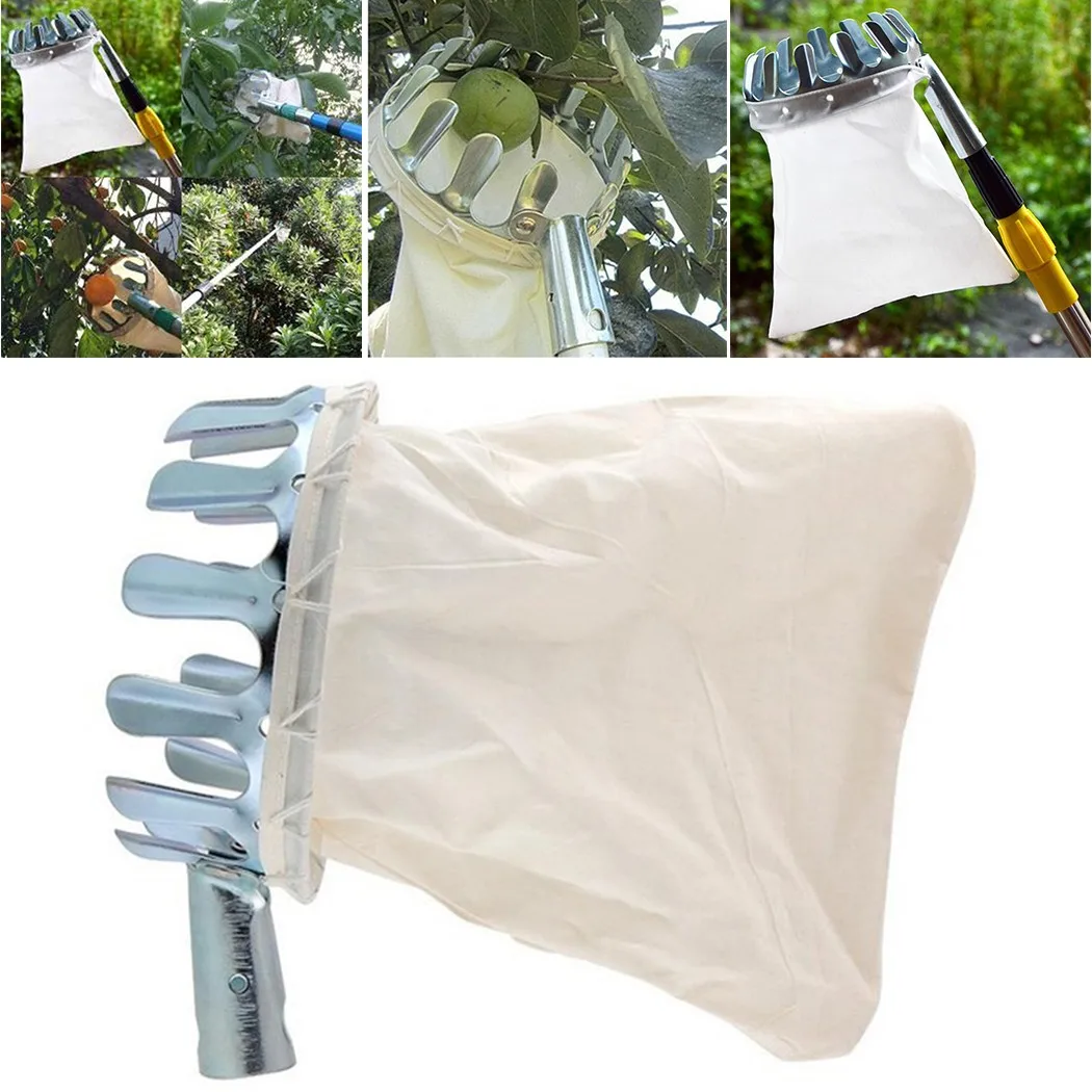 Tree Pruner Convenient Fruits Picker Head Basket Fruits Catcher Picking Tool Fruit-picker For Picking Fruits
Tree Pruner Convenient Fruits Picker Head Basket Fruits Catcher Picking Tool Fruit-picker For Picking Fruits
