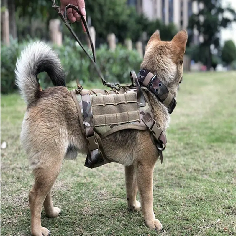 Military Tactical Dog Harness Adjustable Military Training Hunting Dog Vest German Shepherd for Small Medium Large Dogs Puppy
Military Tactical Dog Harness Adjustable Military Training Hunting Dog Vest German Shepherd for Small Medium Large Dogs Puppy