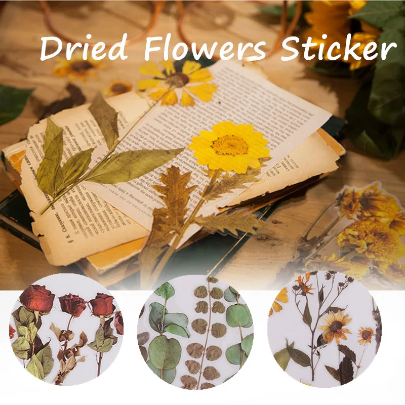 6PCS 8 Types PET Hand Account Stickers Home Decoration Plant Material Decoration Stickers Flowers Deco Stickers Home Decoration
6PCS 8 Types PET Hand Account Stickers Home Decoration Plant Material Decoration Stickers Flowers Deco Stickers Home Decoration