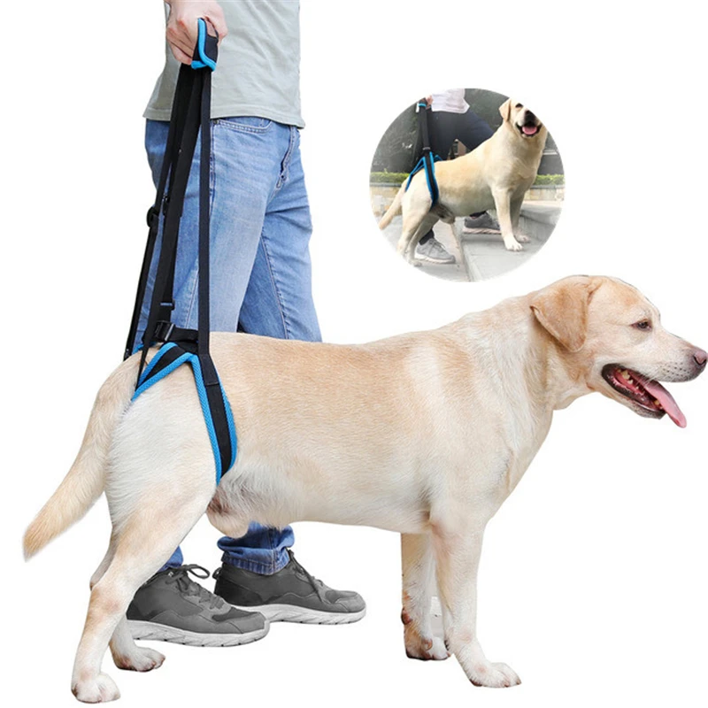 Pet Dog Harness Hind Leg Help Walking Dogs Pet Go Up The Stairs Get In The Car Balance Harness Auxiliary Belt Dog Accessories
Pet Dog Harness Hind Leg Help Walking Dogs Pet Go Up The Stairs Get In The Car Balance Harness Auxiliary Belt Dog Accessories