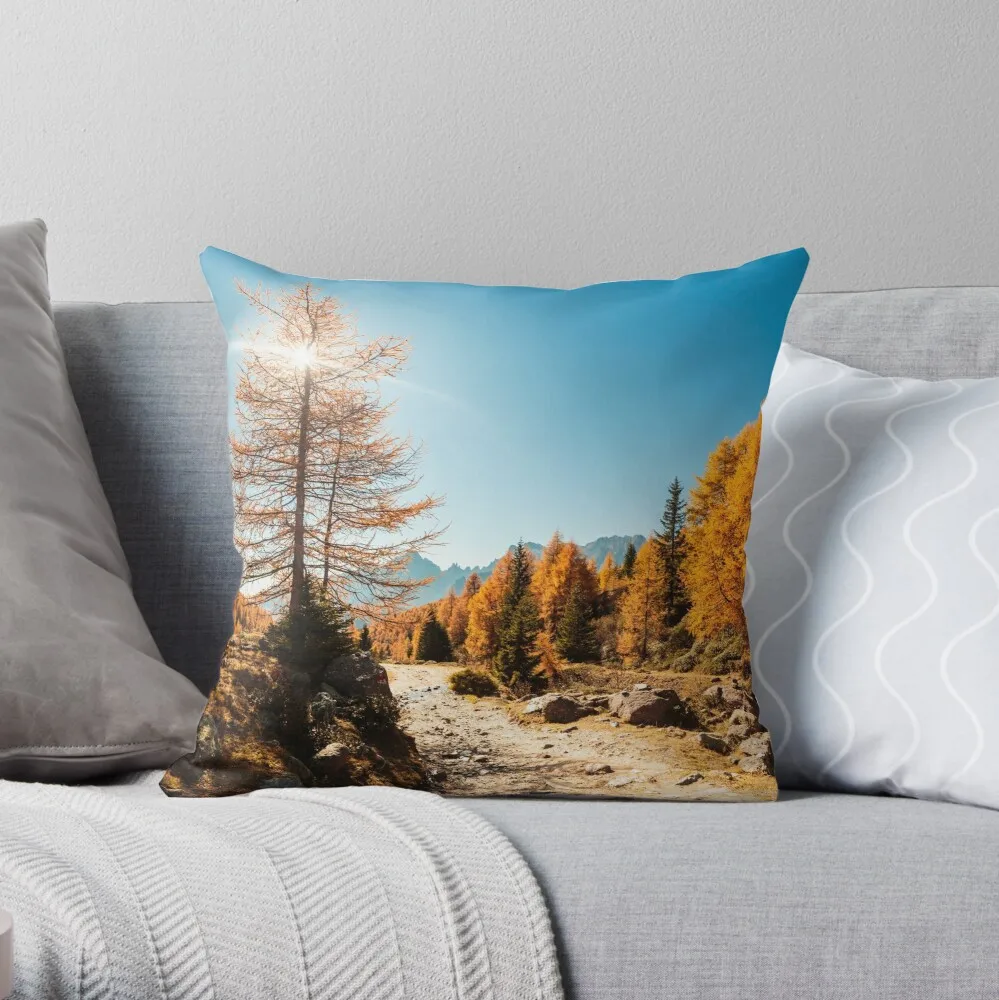Autumn Trekking In The Alpine Pusteria Valley Throw Pillow Cushion Cover Polyester Throw Pillows Case On Sofa Home Decor
Autumn Trekking In The Alpine Pusteria Valley Throw Pillow Cushion Cover Polyester Throw Pillows Case On Sofa Home Decor