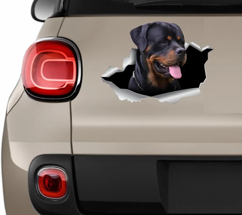 2022 New Sticker Decal Sticker for Car Window, Laptop, Motorcycle, Walls, Mirror and More
2022 New Sticker Decal Sticker for Car Window, Laptop, Motorcycle, Walls, Mirror and More
