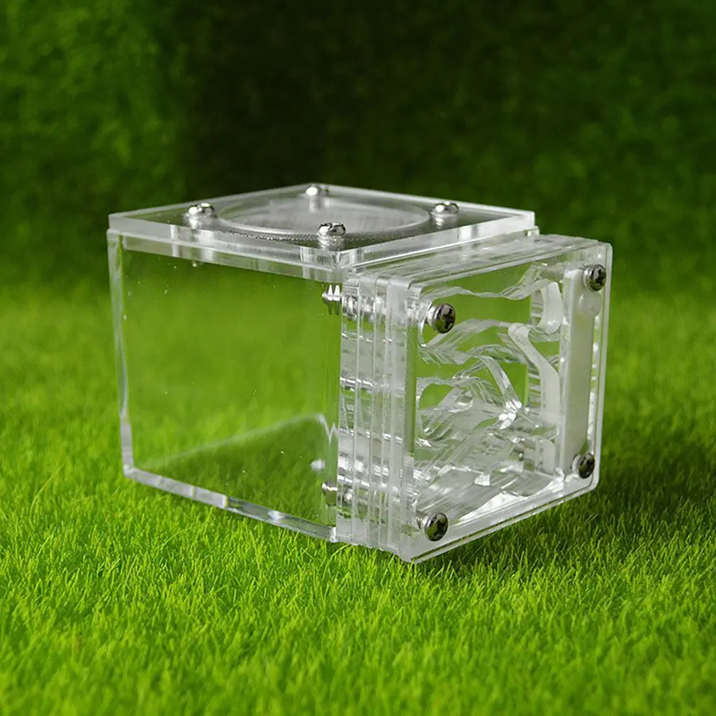 Mini Ant Nest Acrylic Anthill Nest Transparent Ant Farm Ants Villa House Ants Ecological Workshop Unique Handmade Gifts
Mini Ant Nest Acrylic Anthill Nest Transparent Ant Farm Ants Villa House Ants Ecological Workshop Unique Handmade Gifts