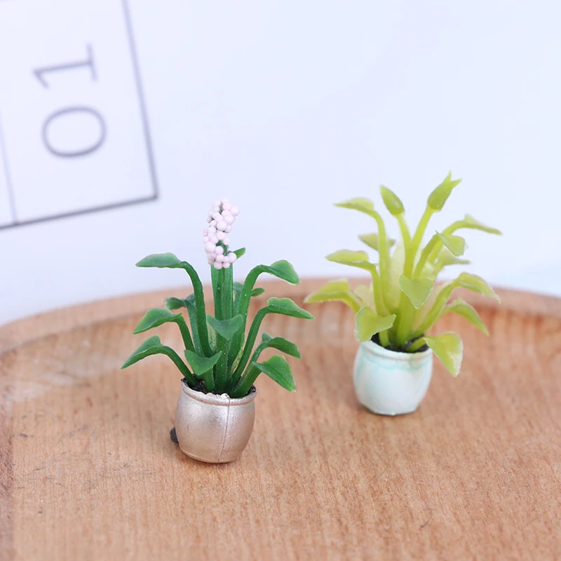 Random 1 Pcs Mini Dollhouse Indoor Flower Pot Model With Green Plants Potted Landscape
Random 1 Pcs Mini Dollhouse Indoor Flower Pot Model With Green Plants Potted Landscape