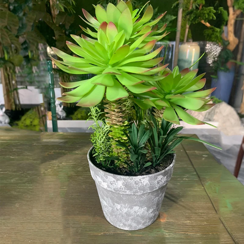 26/37cm Artificial Succulent Plants Tropical Tree Fake Dracaena Tree Bonsai Mini Agave Potted For Home Desktop Shelf Porch Decor
26/37cm Artificial Succulent Plants Tropical Tree Fake Dracaena Tree Bonsai Mini Agave Potted For Home Desktop Shelf Porch Decor