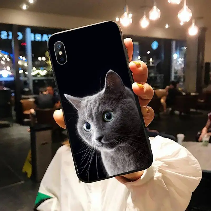 Chartreux cat Cute animal Phone Case for iPhone 11 12 pro XS MAX 8 7 6 6S Plus X 5S SE 2020 XR
Chartreux cat Cute animal Phone Case for iPhone 11 12 pro XS MAX 8 7 6 6S Plus X 5S SE 2020 XR