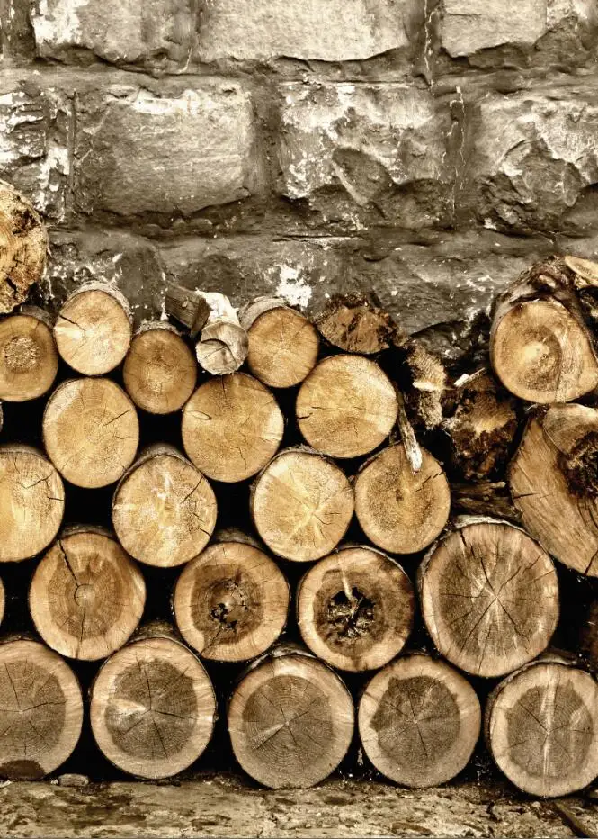 SHENGYONGBAO VinylCustom Photography Prop Brick Wall and Wood Planks theme Photo Studio Background S181221-0255
SHENGYONGBAO VinylCustom Photography Prop Brick Wall and Wood Planks theme Photo Studio Background S181221-0255