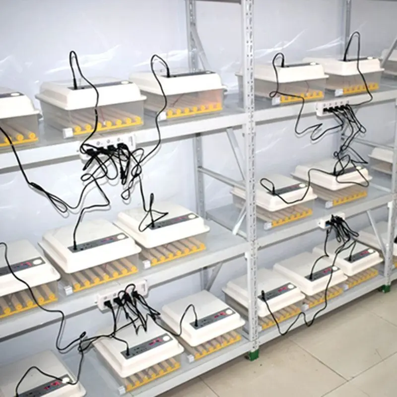 220V Eggs Incubator Brooder Automatic Farm Incubation Tools Bird Quail Chick Hatchery Poultry Hatcher Turner
220V Eggs Incubator Brooder Automatic Farm Incubation Tools Bird Quail Chick Hatchery Poultry Hatcher Turner