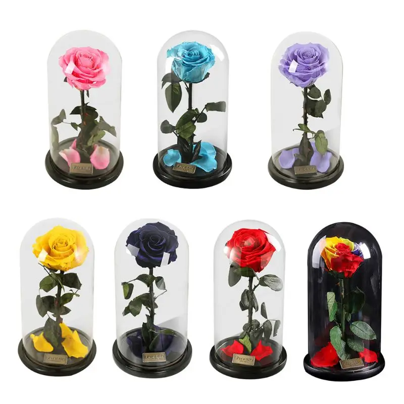 Enchanted Rose Handmade Preserved Rose Glass Dome on Wood Base, Rose for Christmas ,Valentine's Day
Enchanted Rose Handmade Preserved Rose Glass Dome on Wood Base, Rose for Christmas ,Valentine's Day