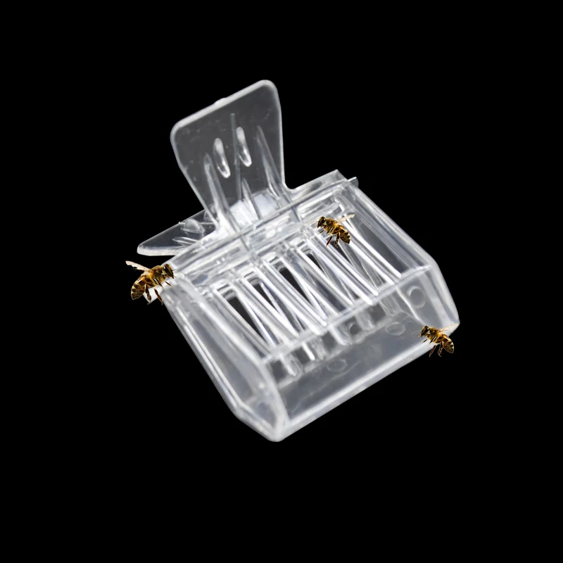 2 PCS Beekeeping equipment Bee Tools Queen cage Colorless plastic clip Bee Clip
2 PCS Beekeeping equipment Bee Tools Queen cage Colorless plastic clip Bee Clip