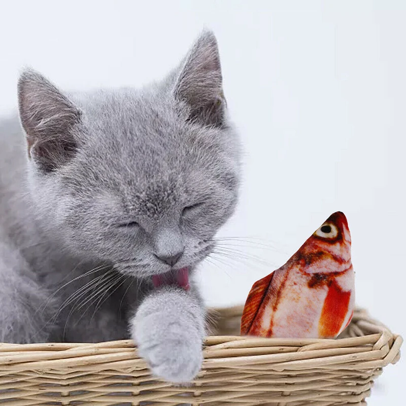 Electronic Cat Toy Fish Electric USB Charging Simulation Fish Toys Cats Pet Playing Toy Fish Catnip Toys 
Electronic Cat Toy Fish Electric USB Charging Simulation Fish Toys Cats Pet Playing Toy Fish Catnip Toys